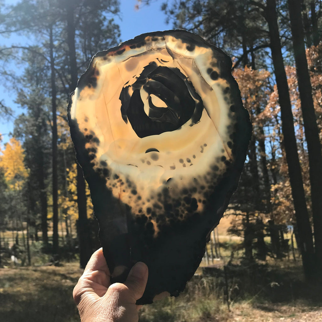Prominent Floral-Like Eye Agate Slice.