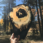 Prominent Floral-Like Eye Agate Slice.