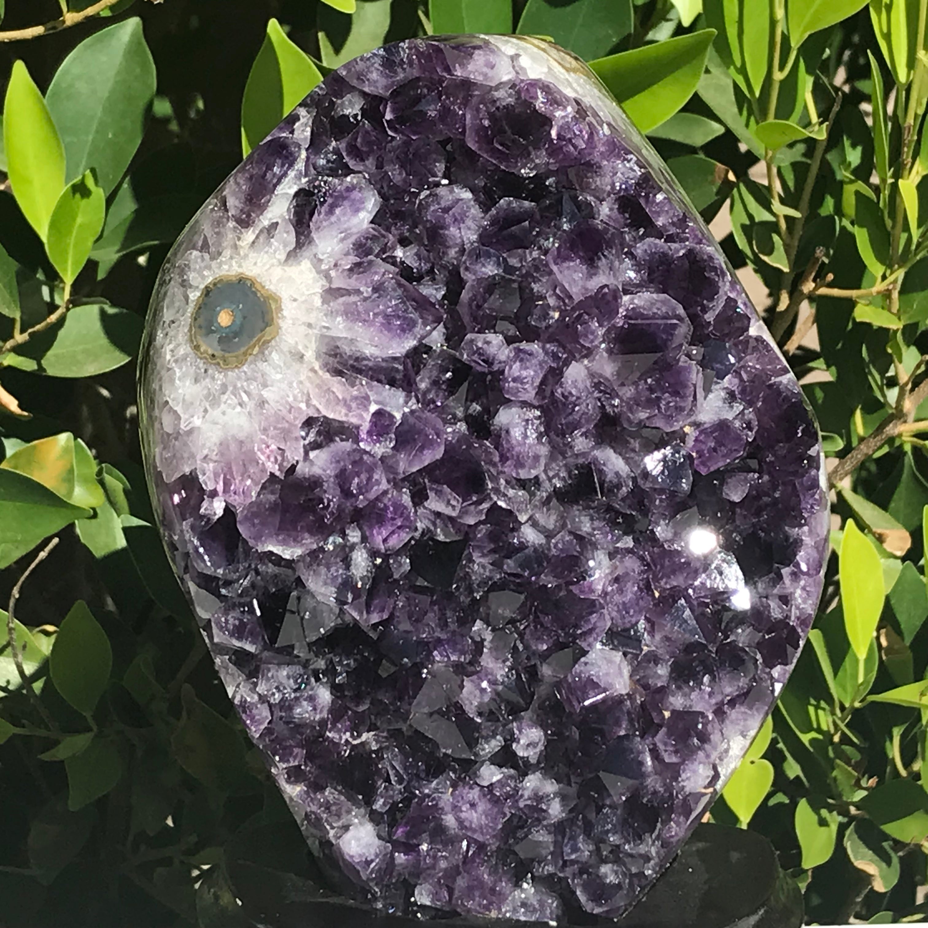 Single Eyed Amethyst Freeform