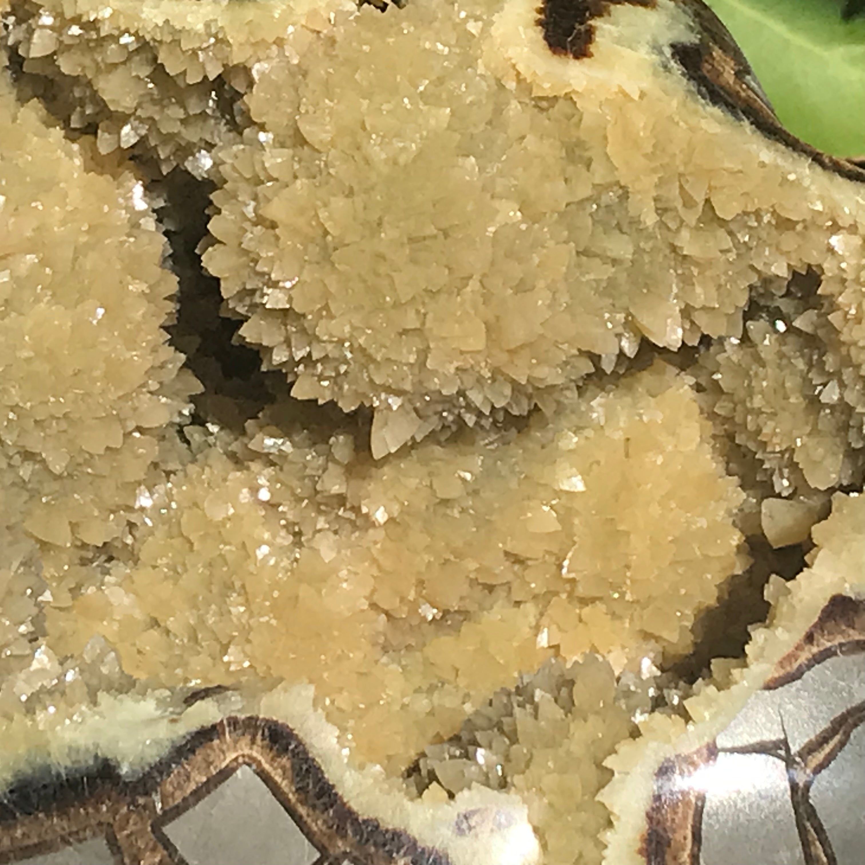 Septarian Geode