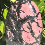 Large Rhodonite Nodule
