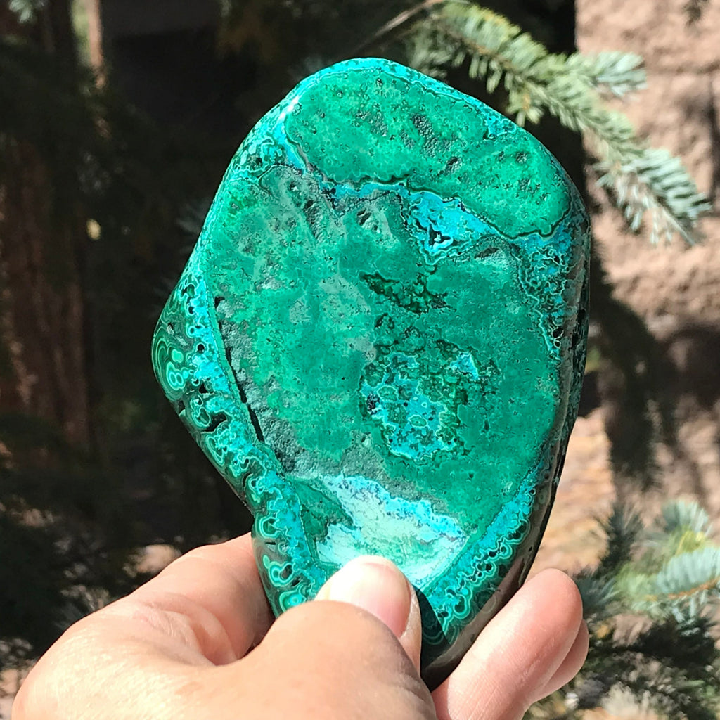 Prominant Orbbed Malachite with Chrysocolla