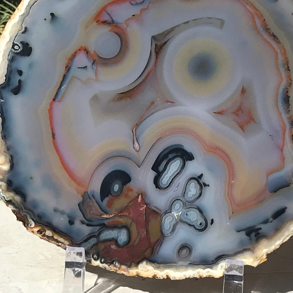 Stunningly Beautiful Agate Slice