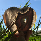 Blue Banded Agate Heart Slab