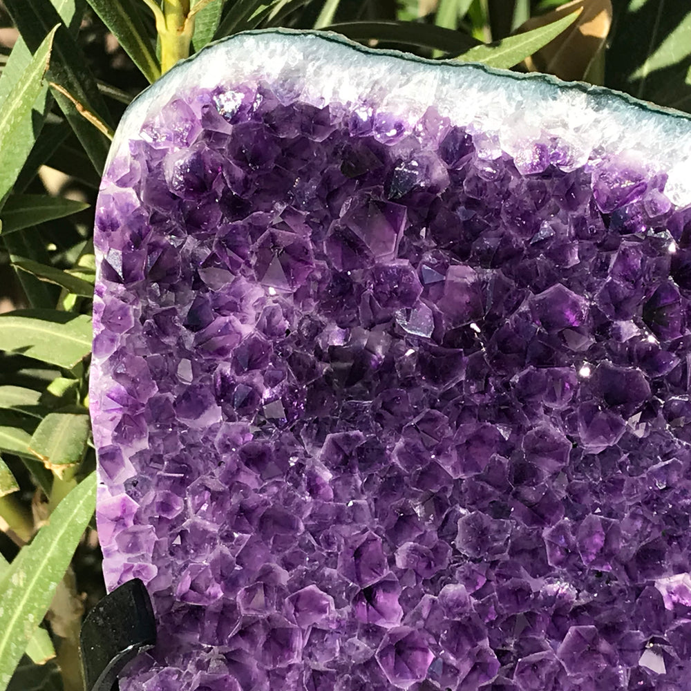 Pristine Crystal Faced Amethyst Freeform