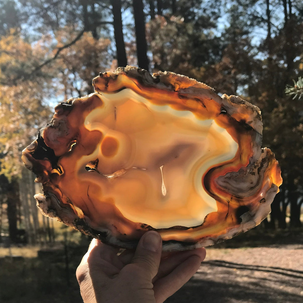 Abstract Agate Slice