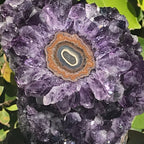 Amethyst Cluster with Magnifient Stalactite Eye