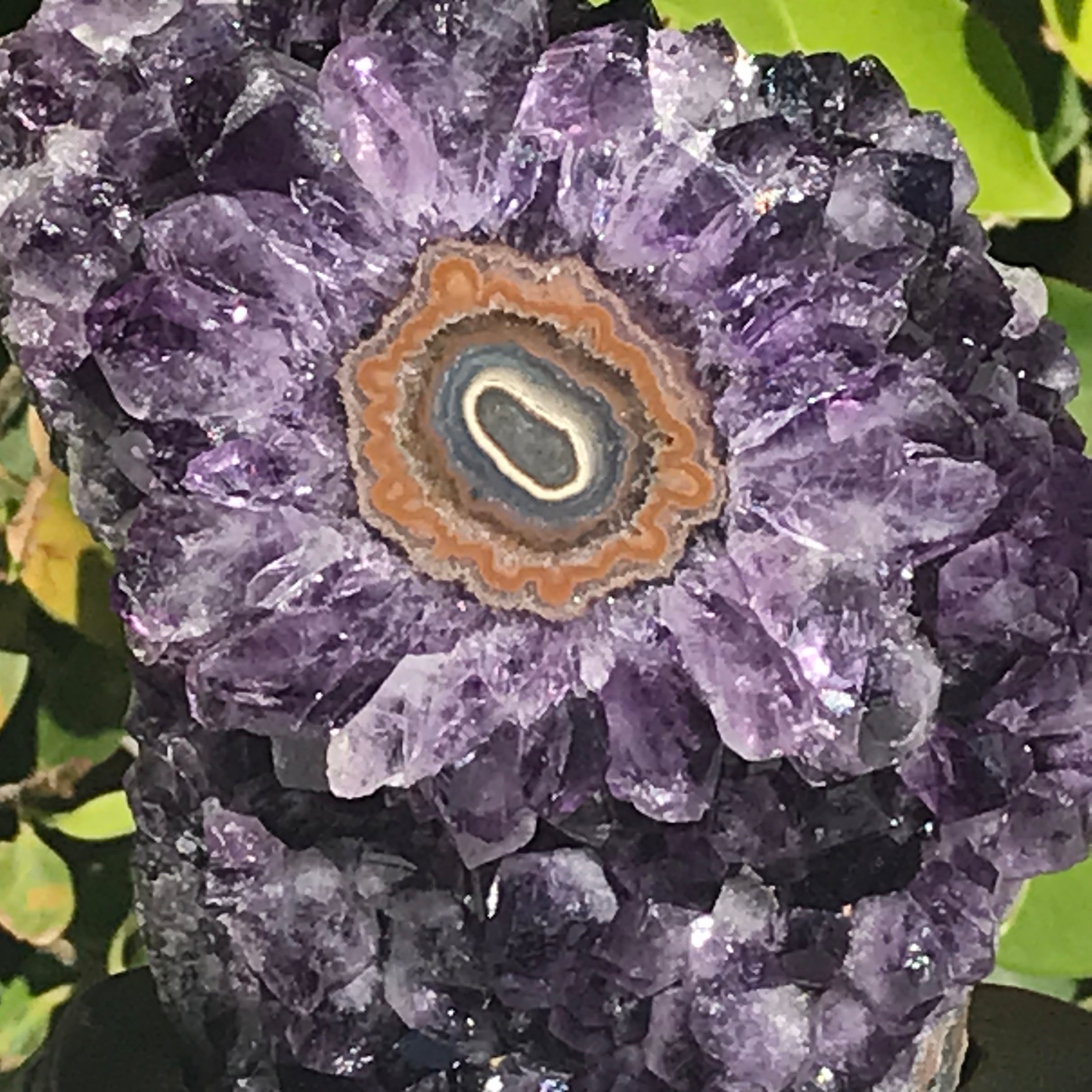Amethyst Cluster with Magnifient Stalactite Eye