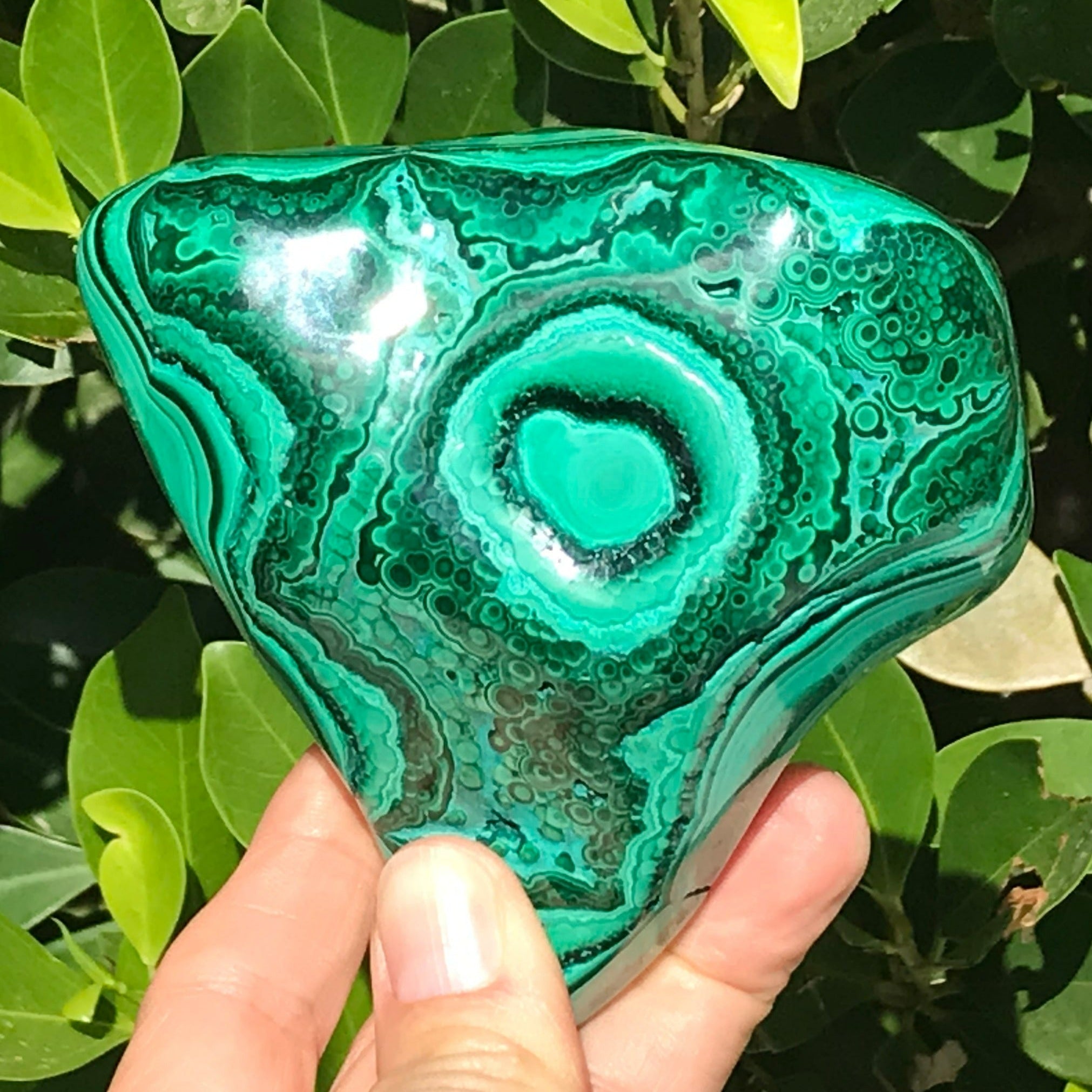 Single Eyed Malachite Nodule