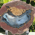 Microcrystalline Quartz Filled Dugway Geode