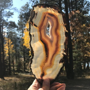 Microcrystalline Quartz and Banded Agate Slice