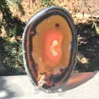 Dramatic Agate Slice