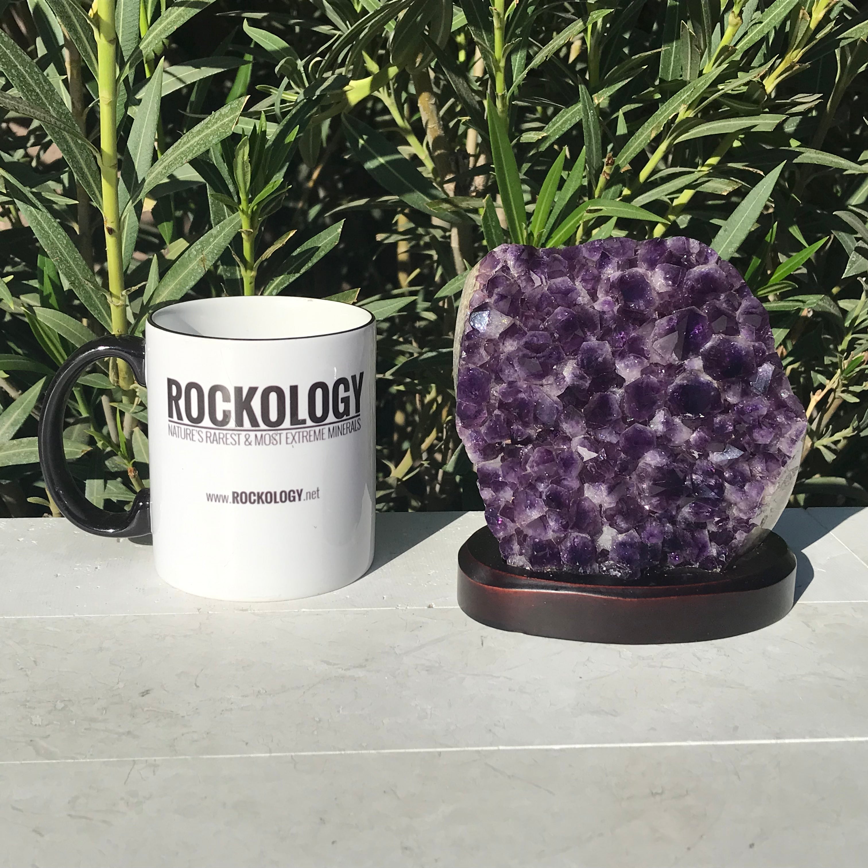Simple Elegence Amethyst Freeform