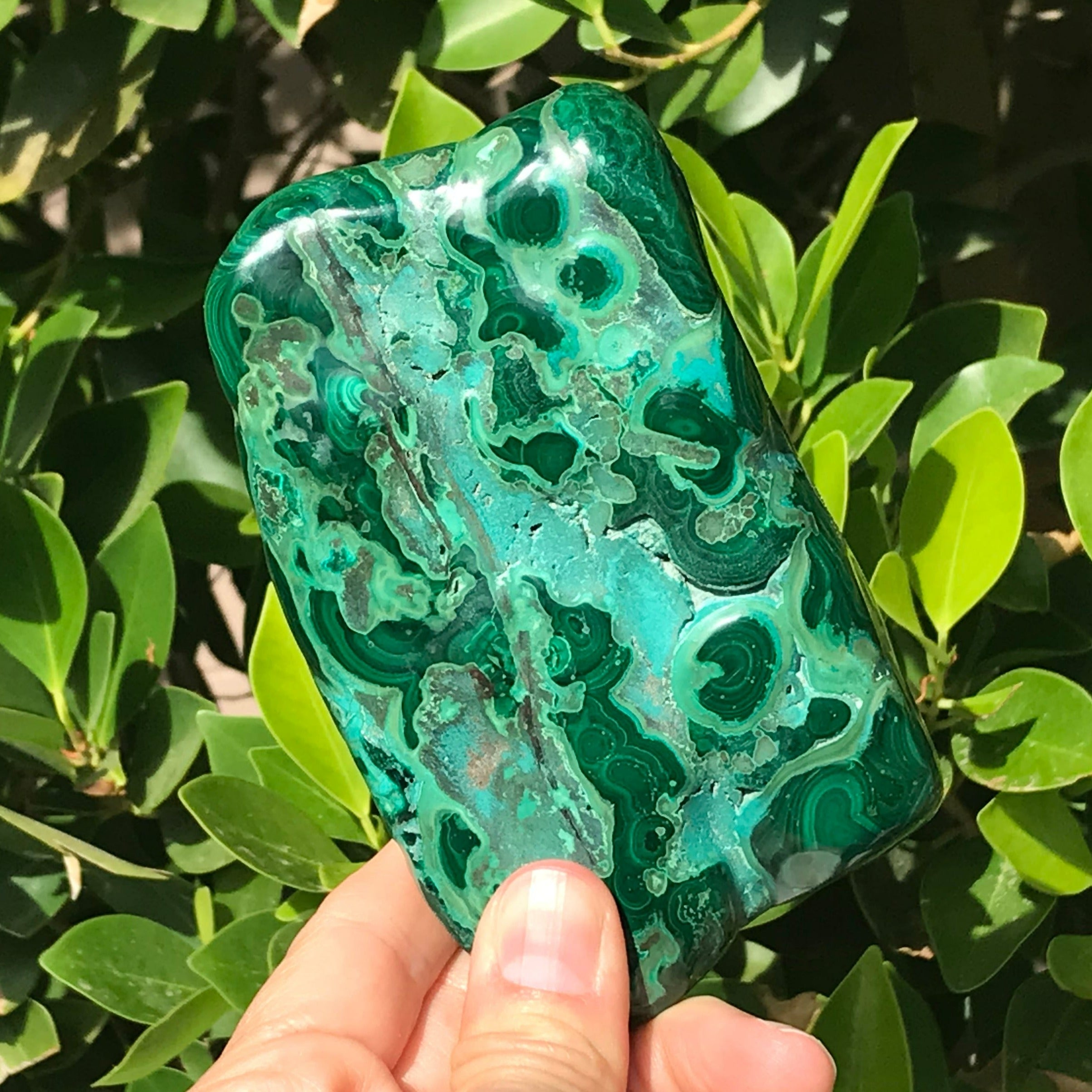 Complex Patterned Malachite/Chrysocolla Nodule