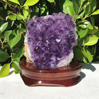 Brazilian Amethyst Cluster