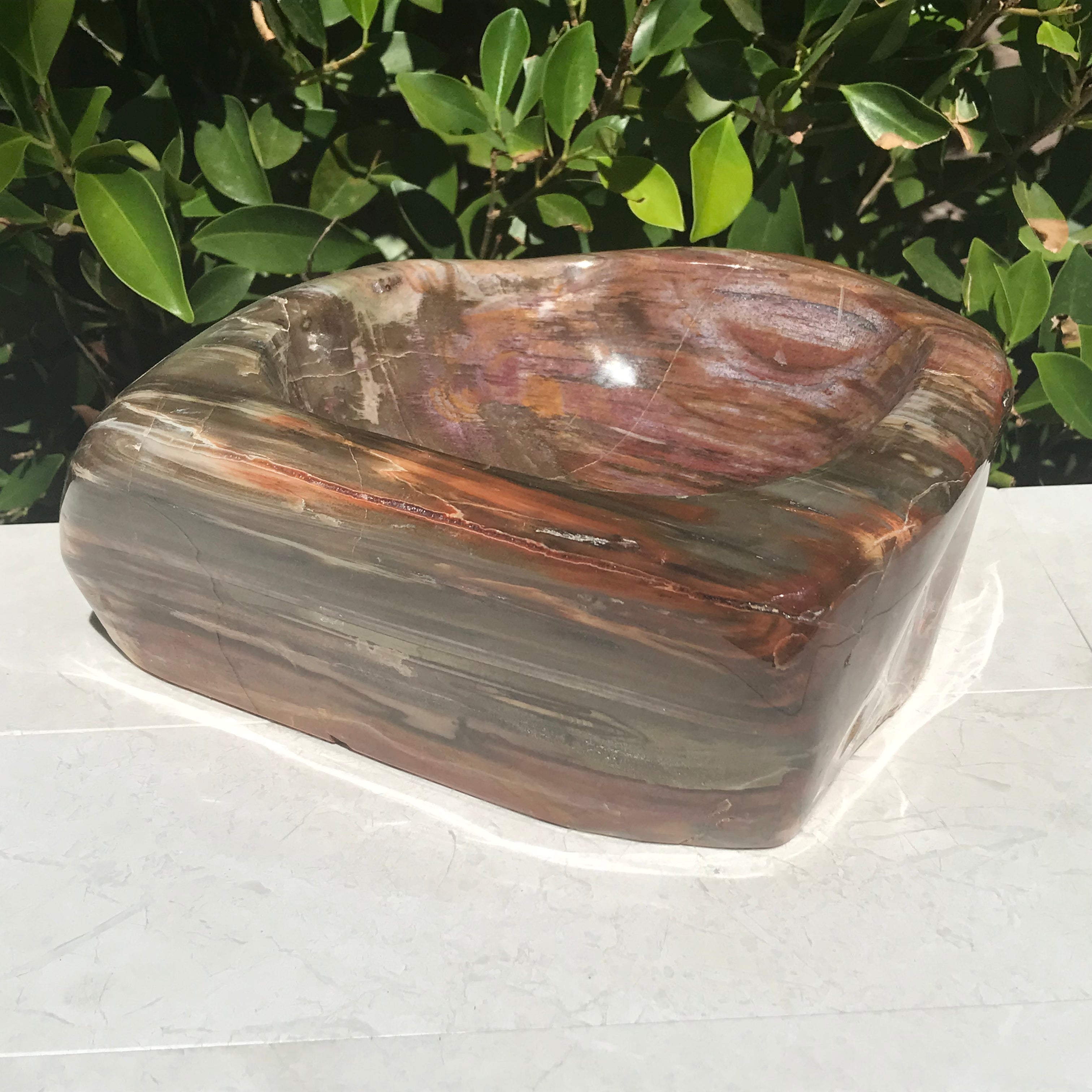 Multihued Petrified Wood Bowl