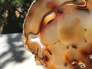 Fiery Detailed Agate Slice