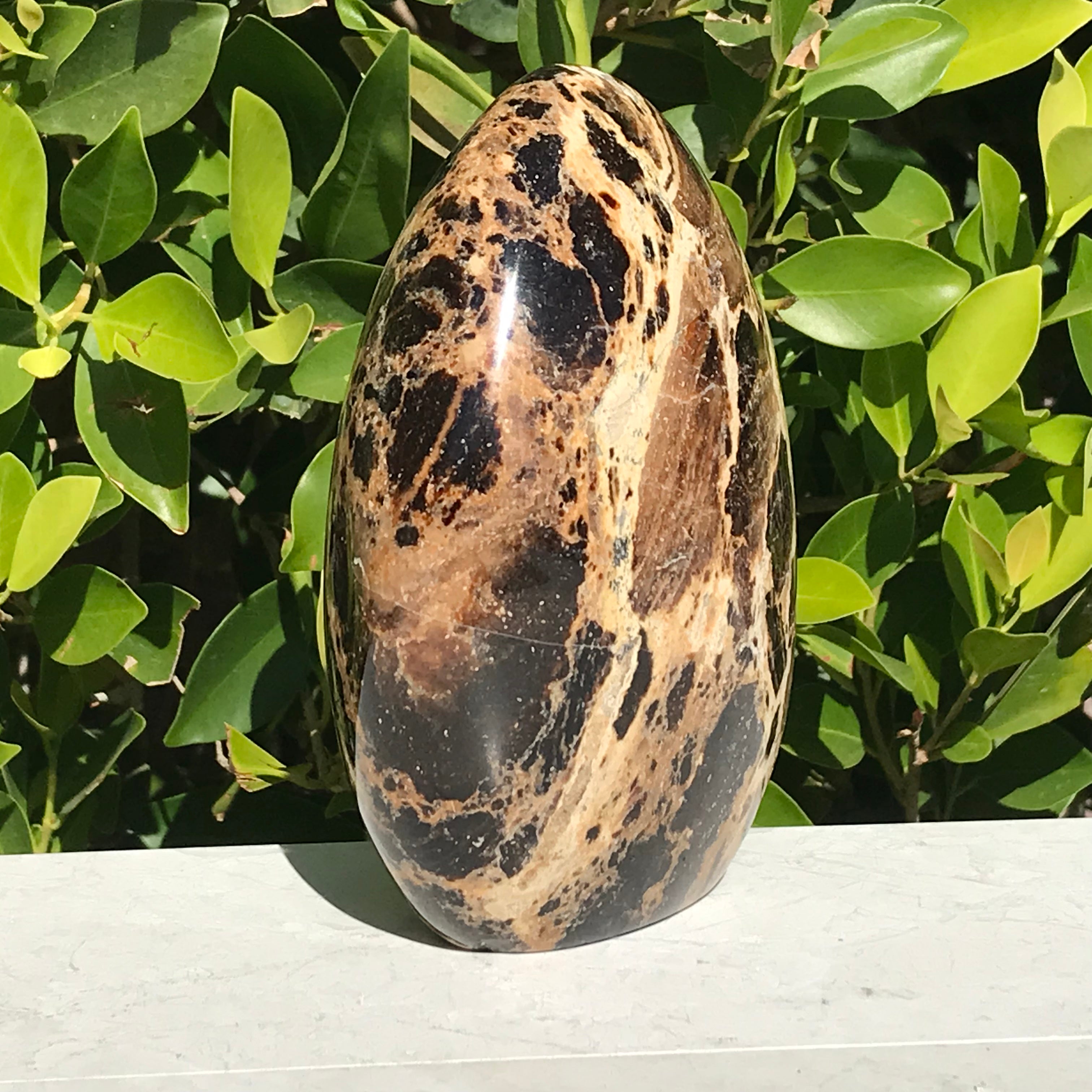 Black Opal Freeform