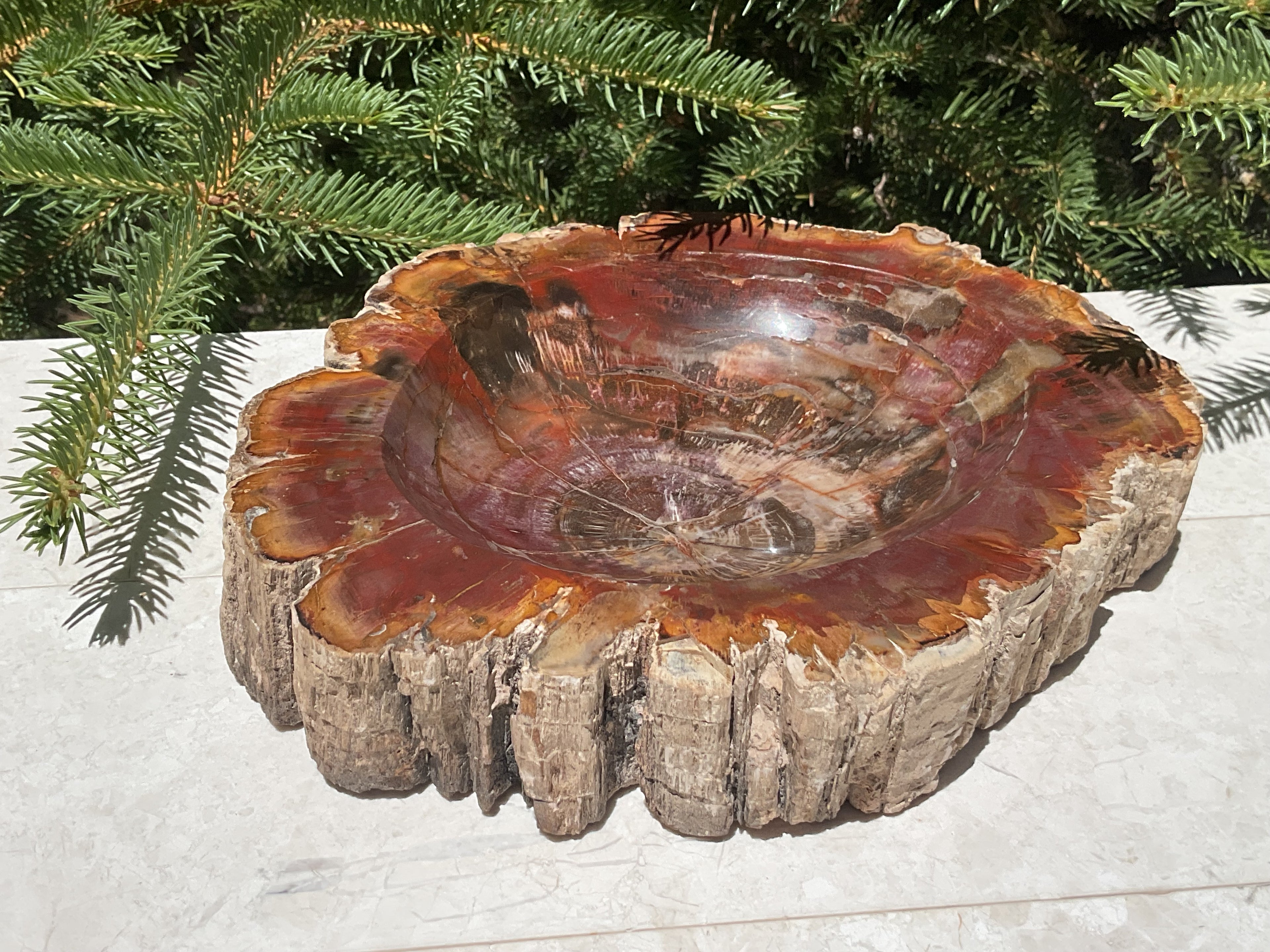 Bark Edged Petrified Wood Bowl
