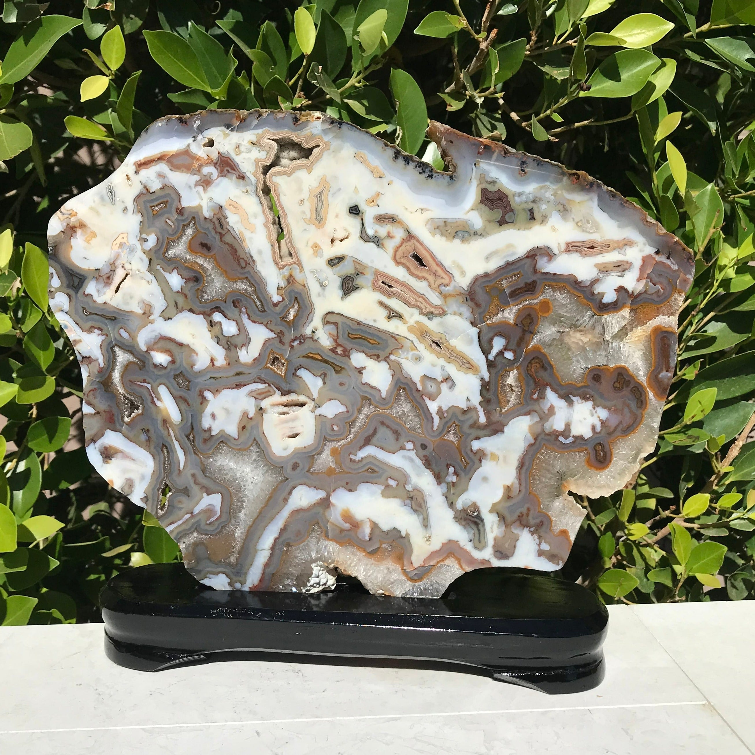 Striking Brazilian Agate Slice