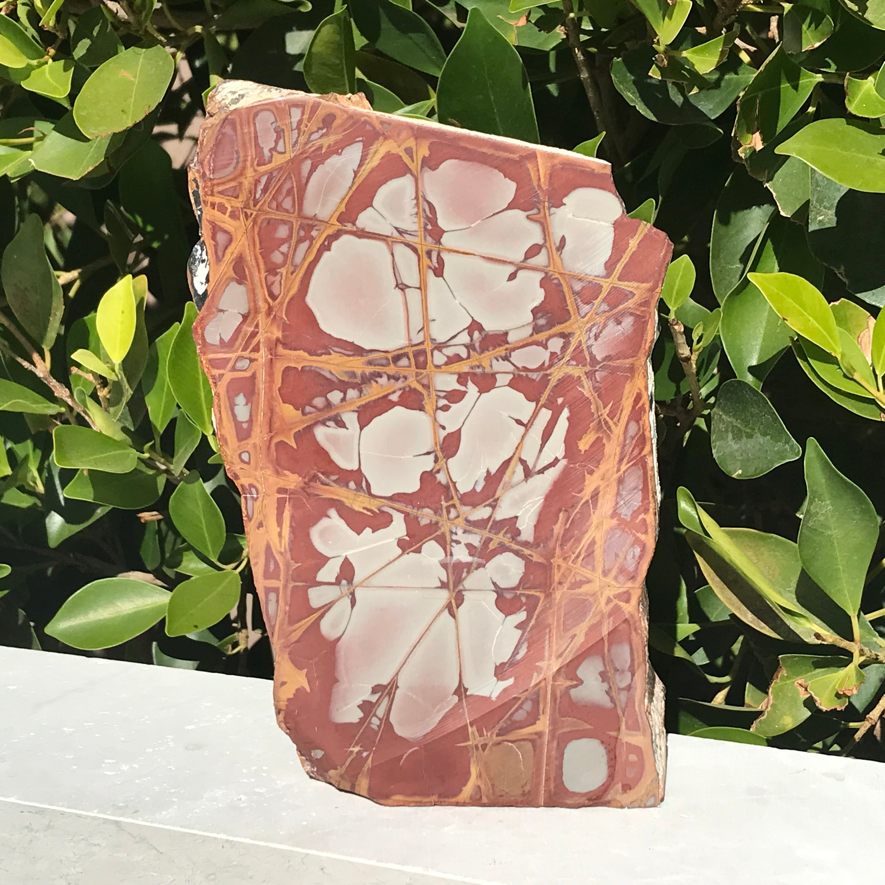 Noreena Jasper Slab