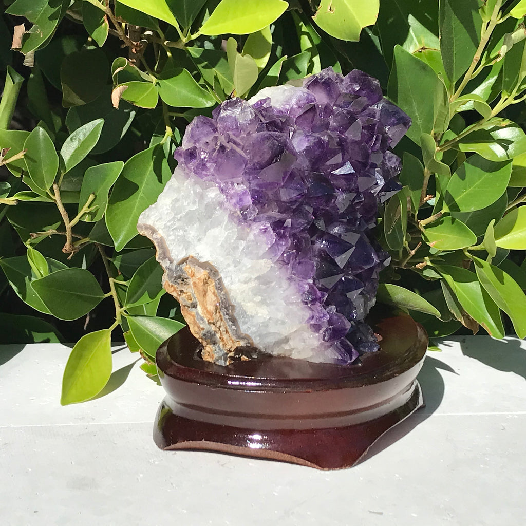 Brazilian Amethyst Cluster
