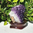Brazilian Amethyst Cluster