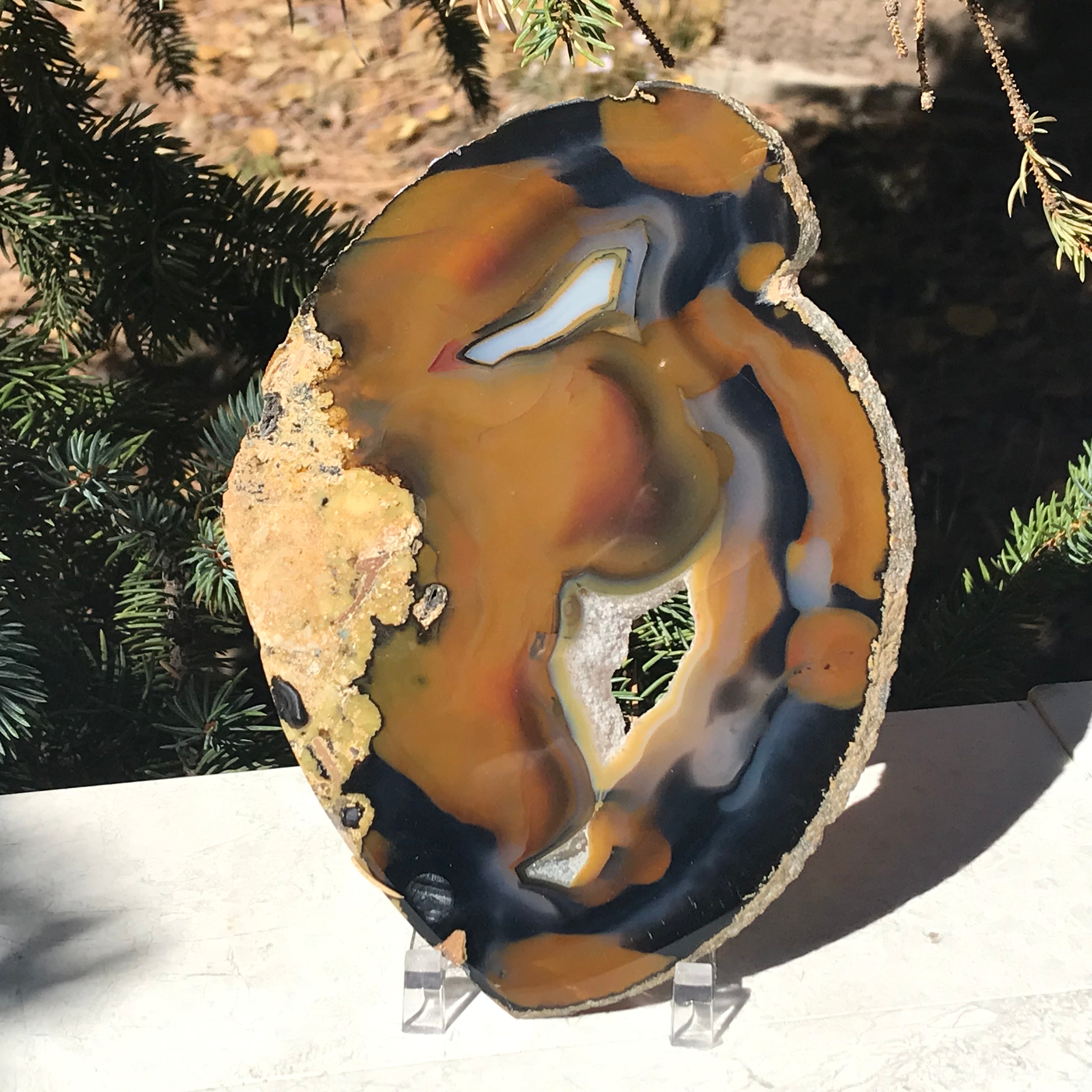 Shining Brazilian Agate Slice