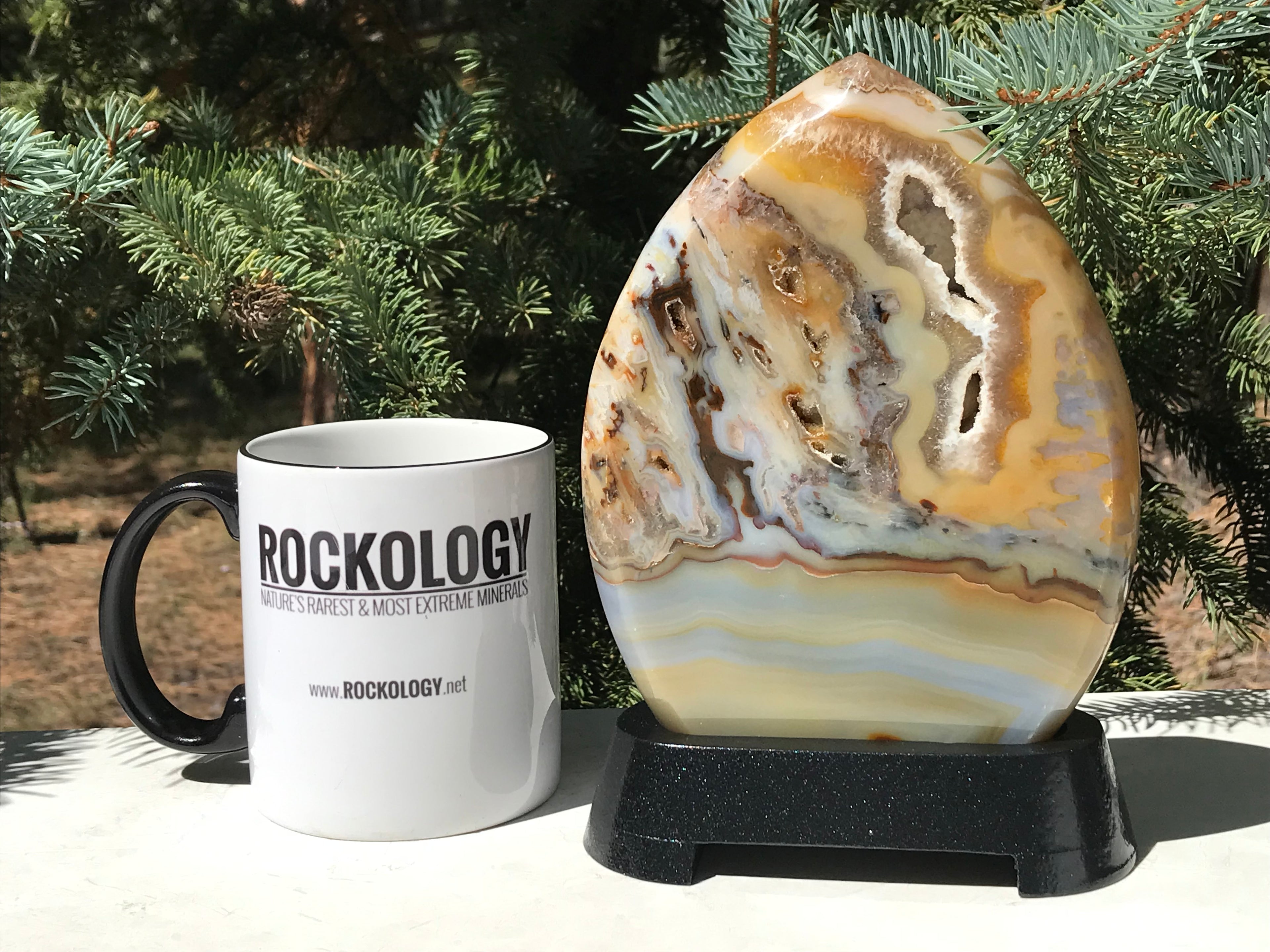 Detailed Flame Shaped Agate