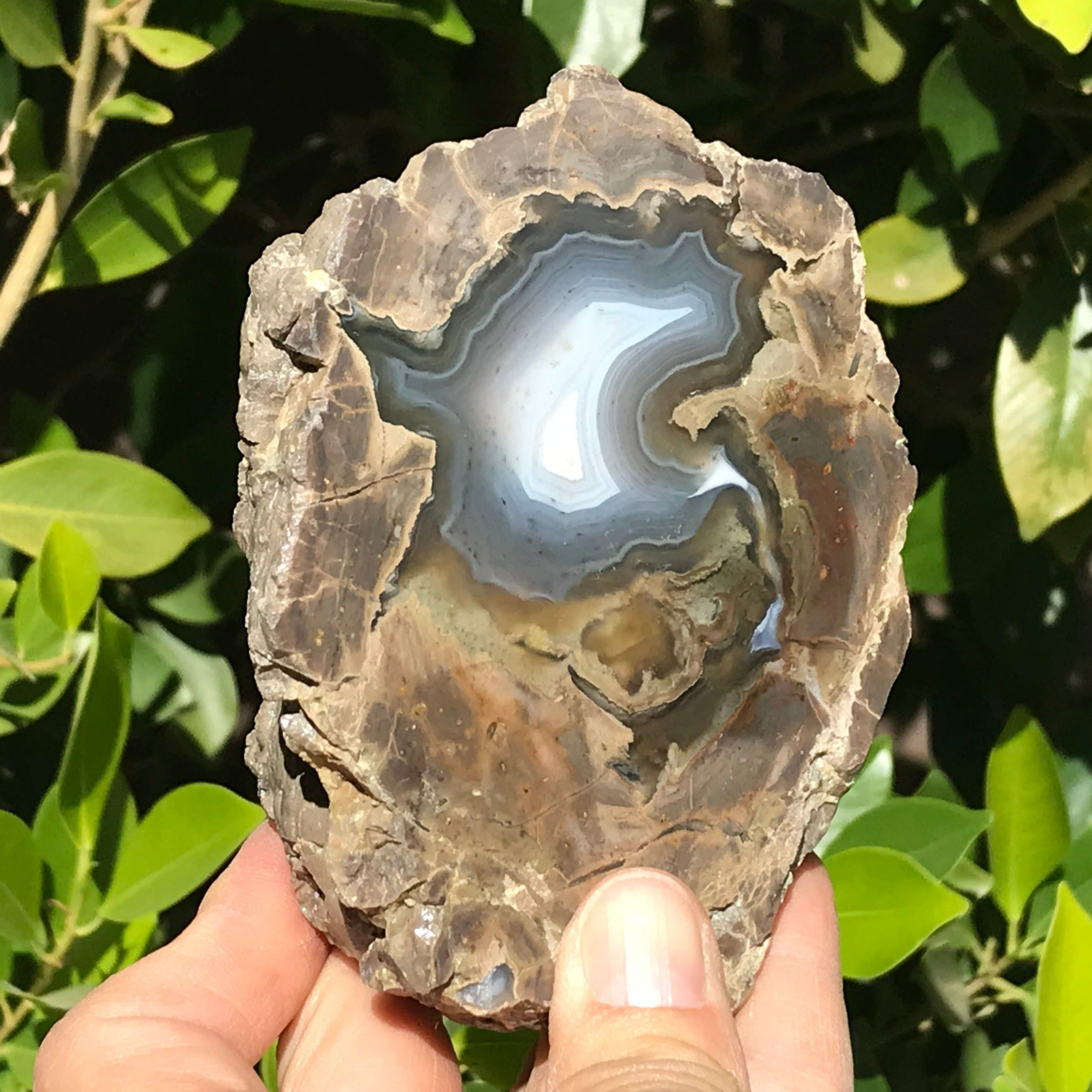 Blue Banded Dugway Geode