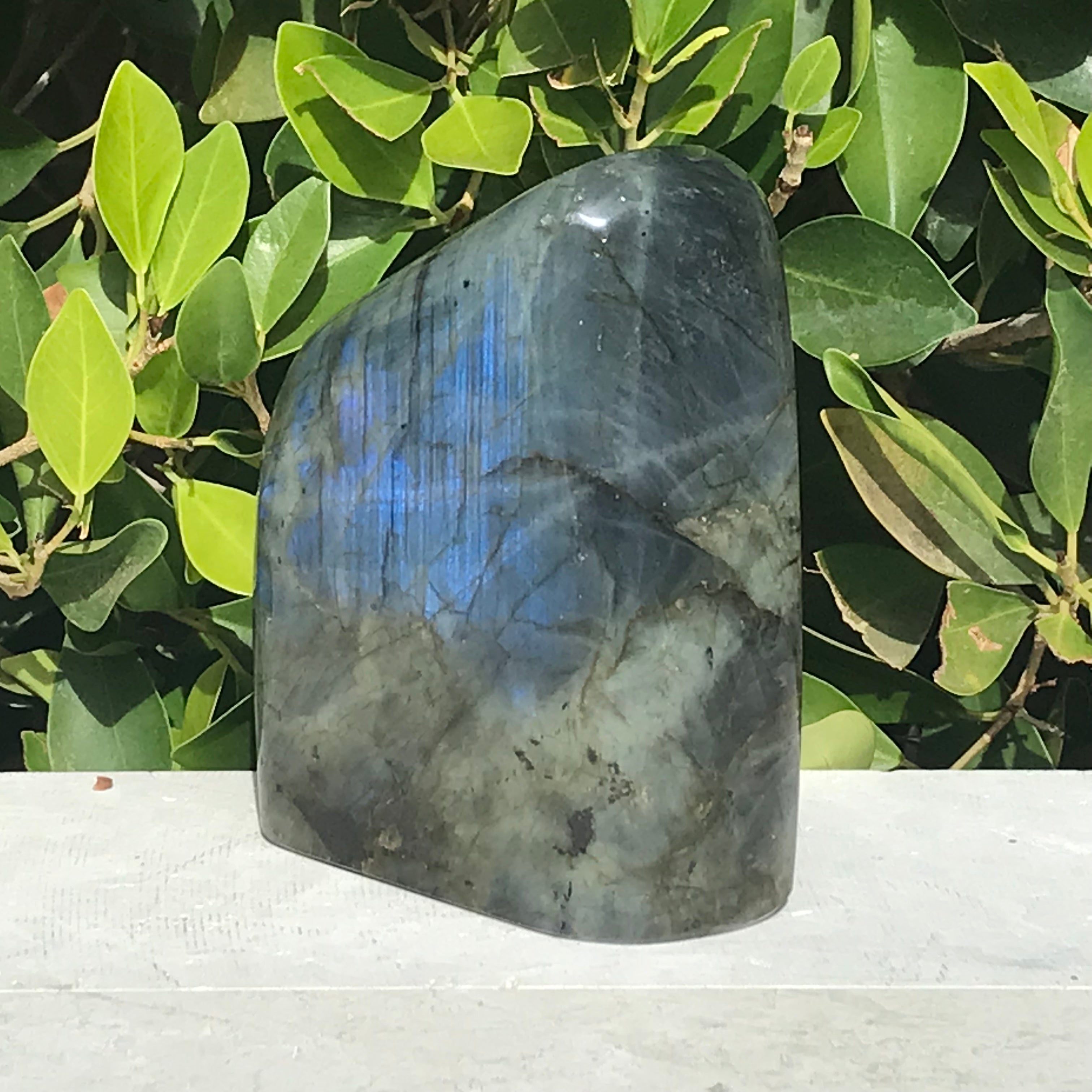 Bright Blue Labradorite Freeform