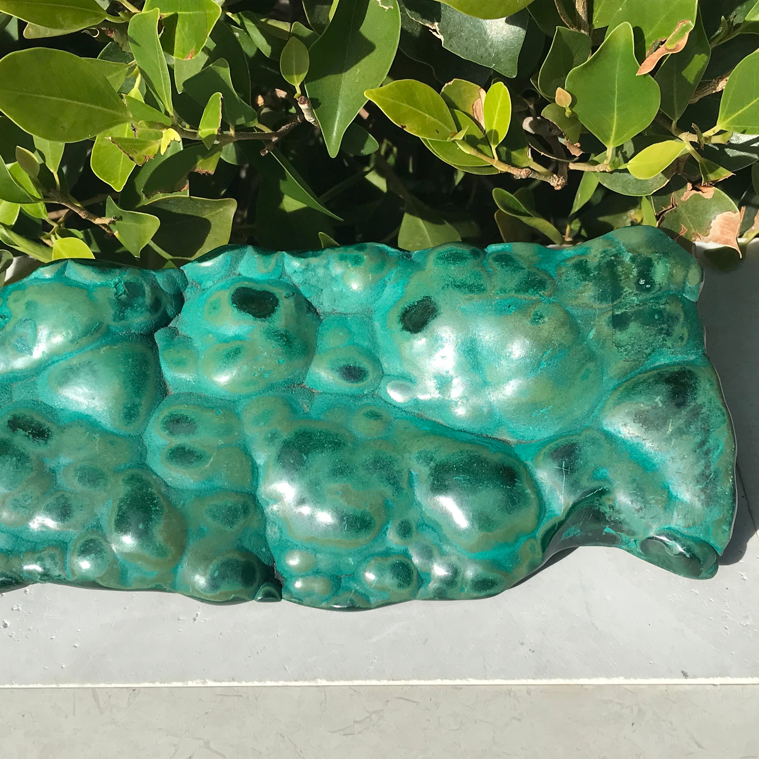 Polished Malachite/Chrysocolla Plate