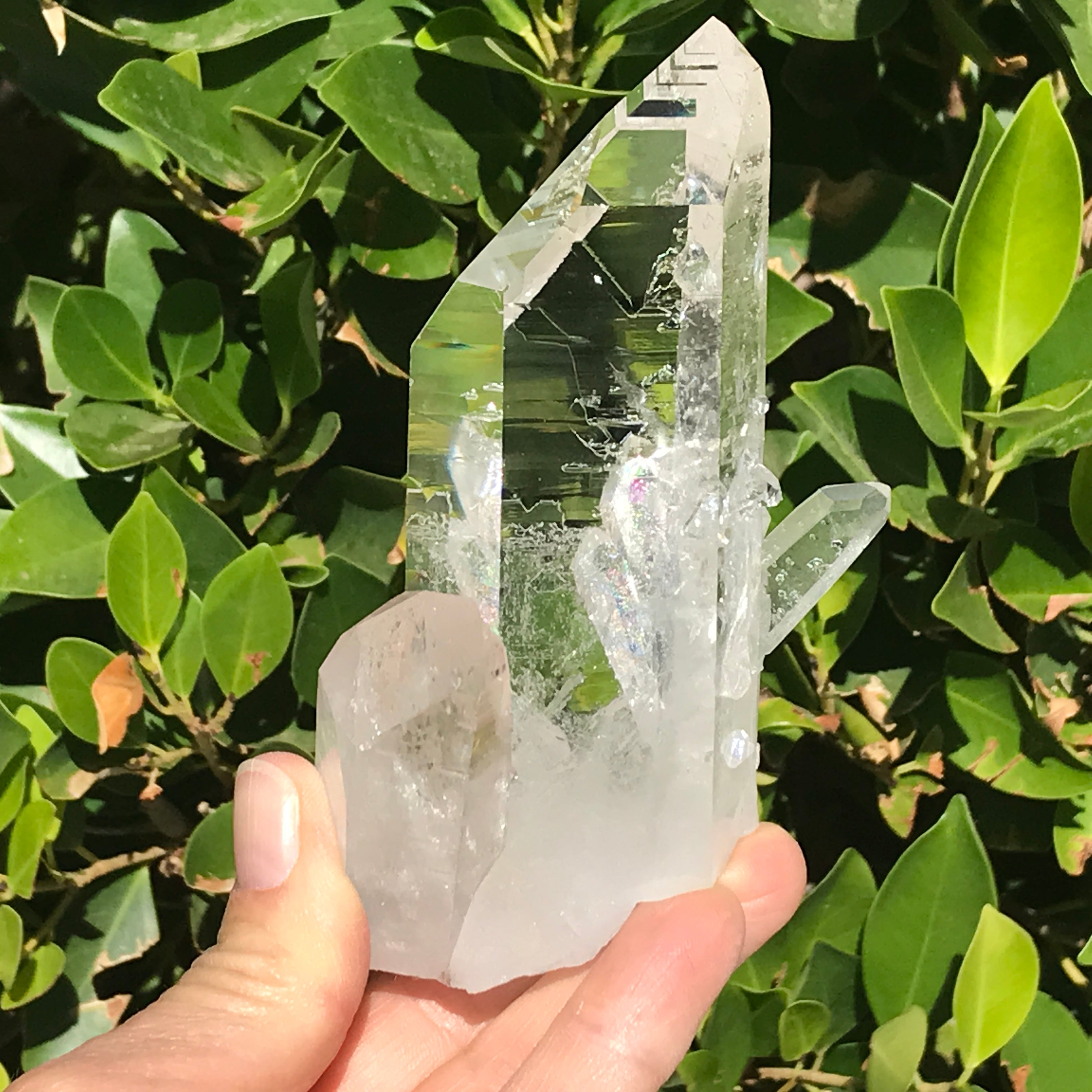 Crystal Growth on Lemurian Crystal Cluster
