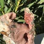 Rose Jasper Slab