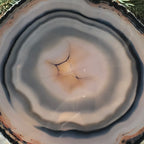 Banding and Bubbles Agate Slice