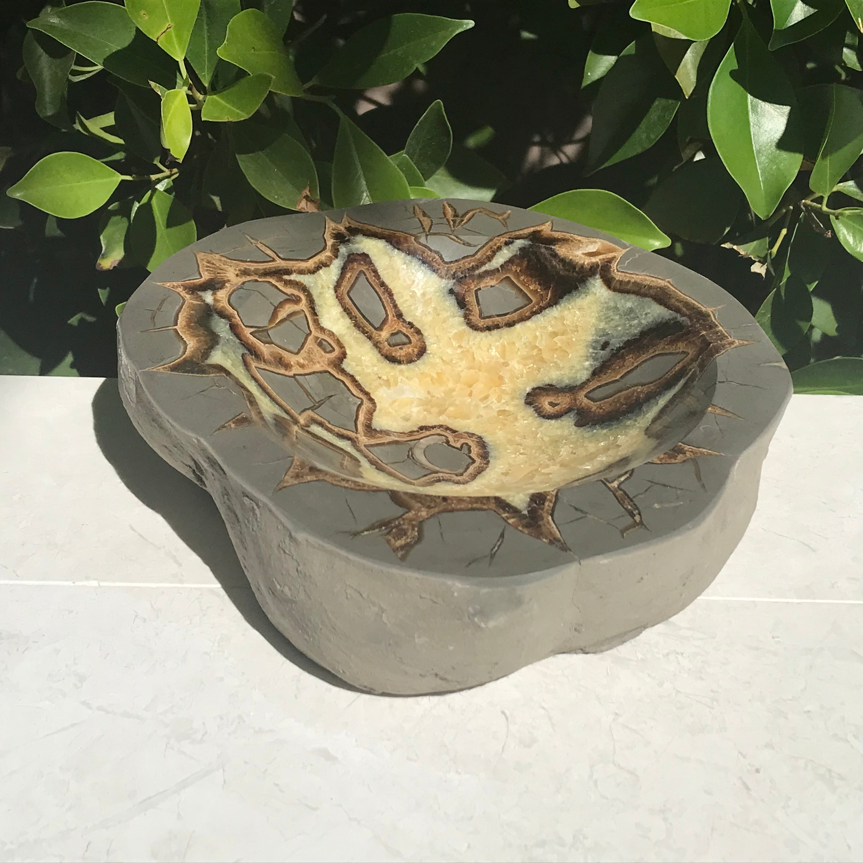 Ornately Patterned Septarian Bowl