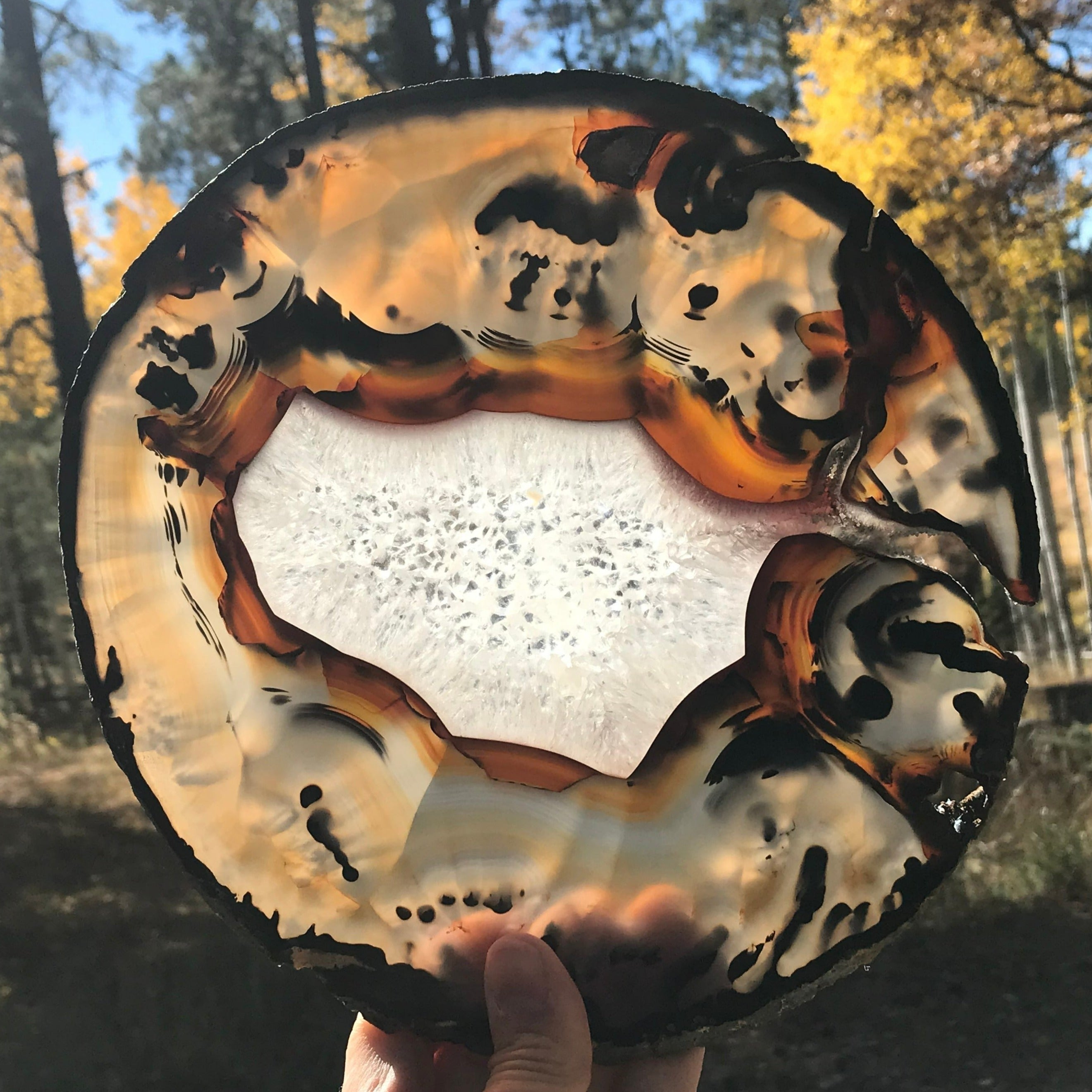 Exceptional Brazilian Agate Slice