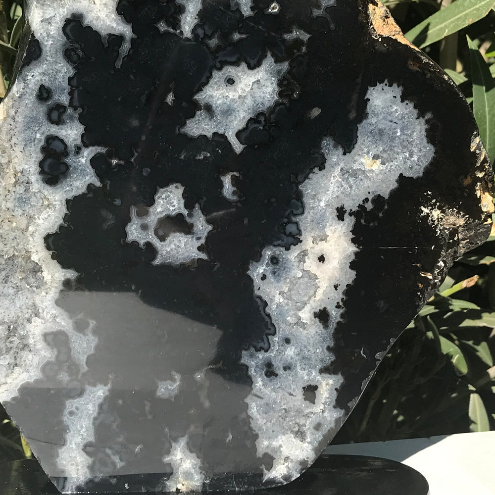 Black Agate/Quartz Crystal Slab