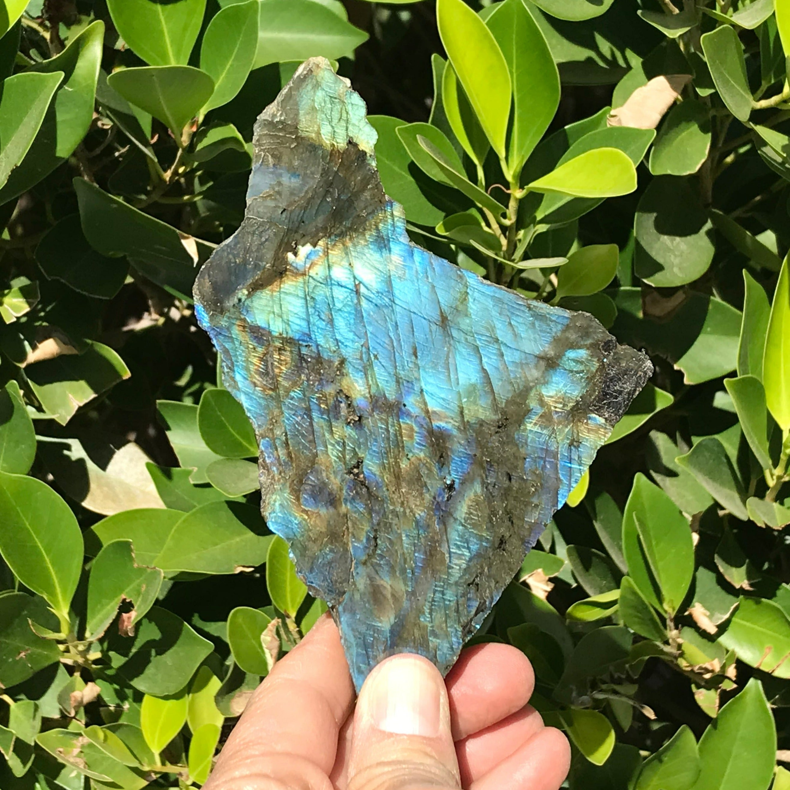 Rainbowed Labradorite Freeform