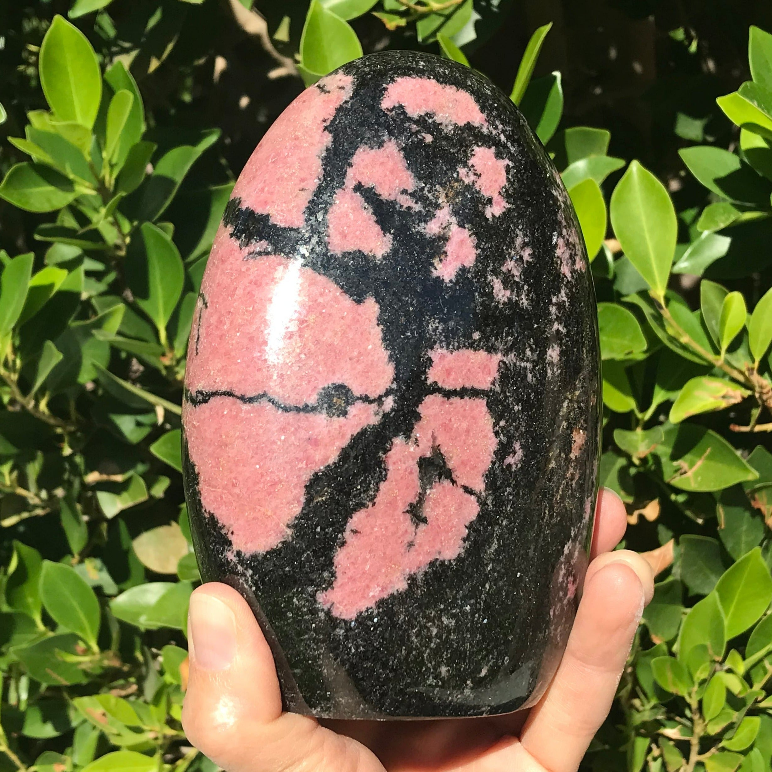 Large Rhodonite Nodule