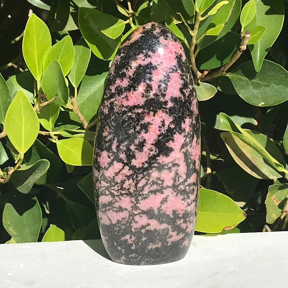 Black and Pink Rhodonite Nodule