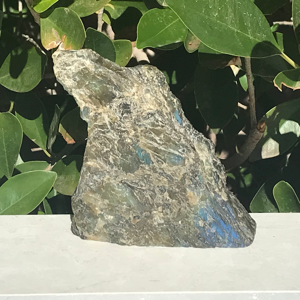 Rainbowed Labradorite Freeform