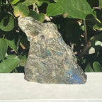 Rainbowed Labradorite Freeform