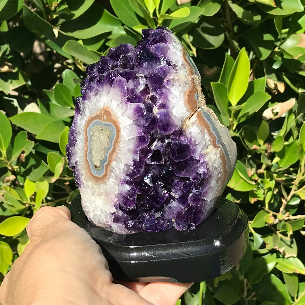 Stalactite Eyed Amethyst Cluster