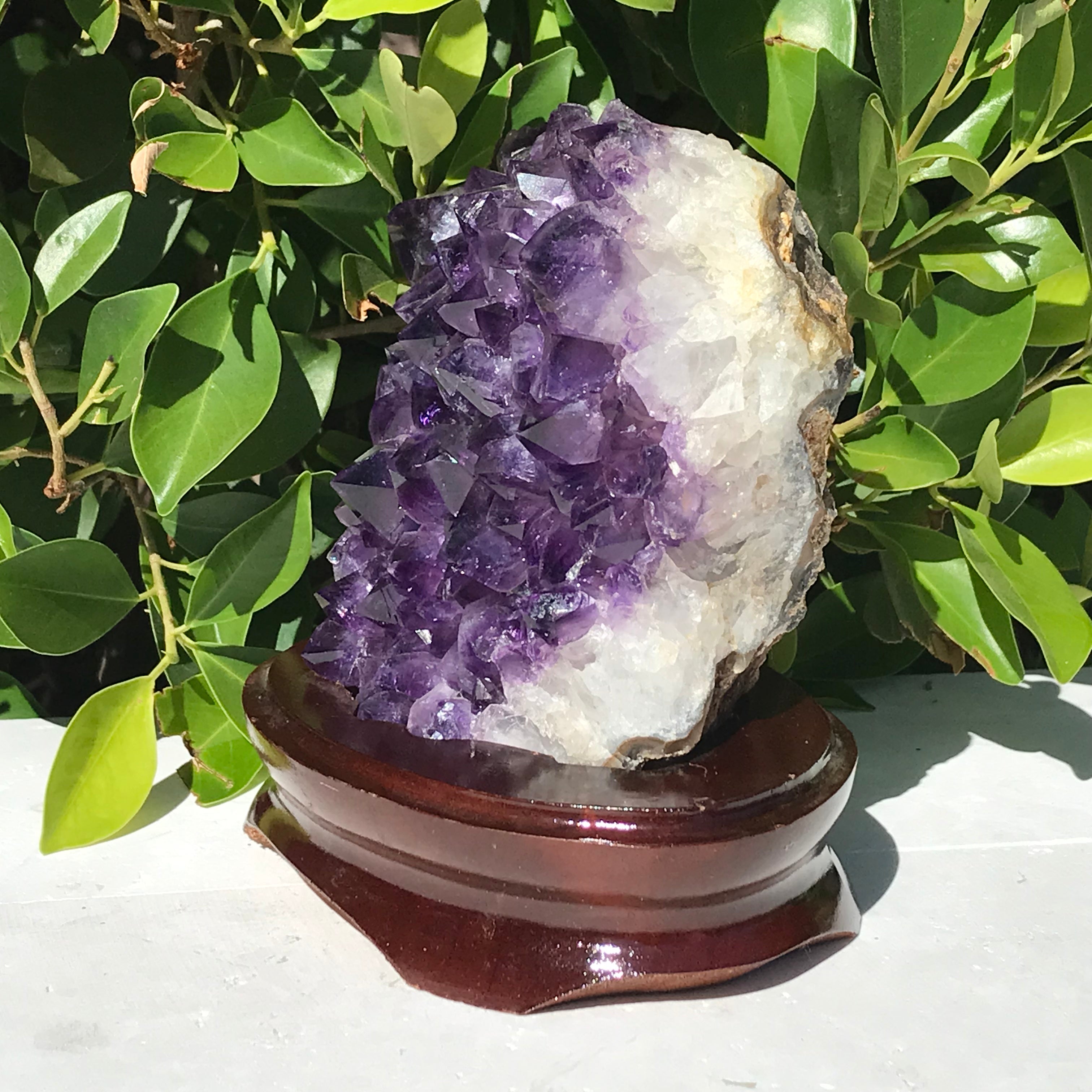 Brazilian Amethyst Cluster