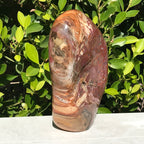 Polished Petrified Wood Nodule