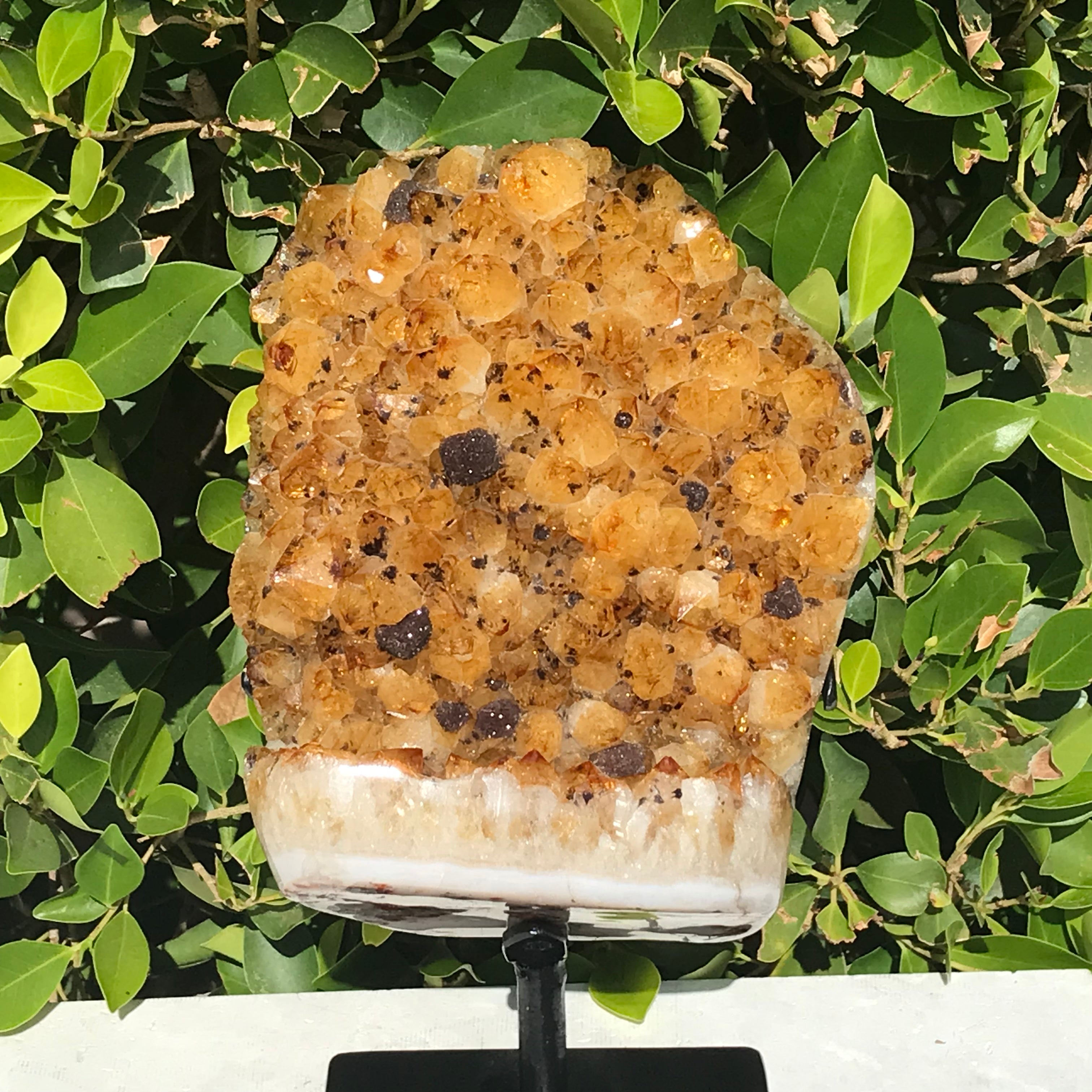 Goethite Speckled Brazilian Citrine Cluster