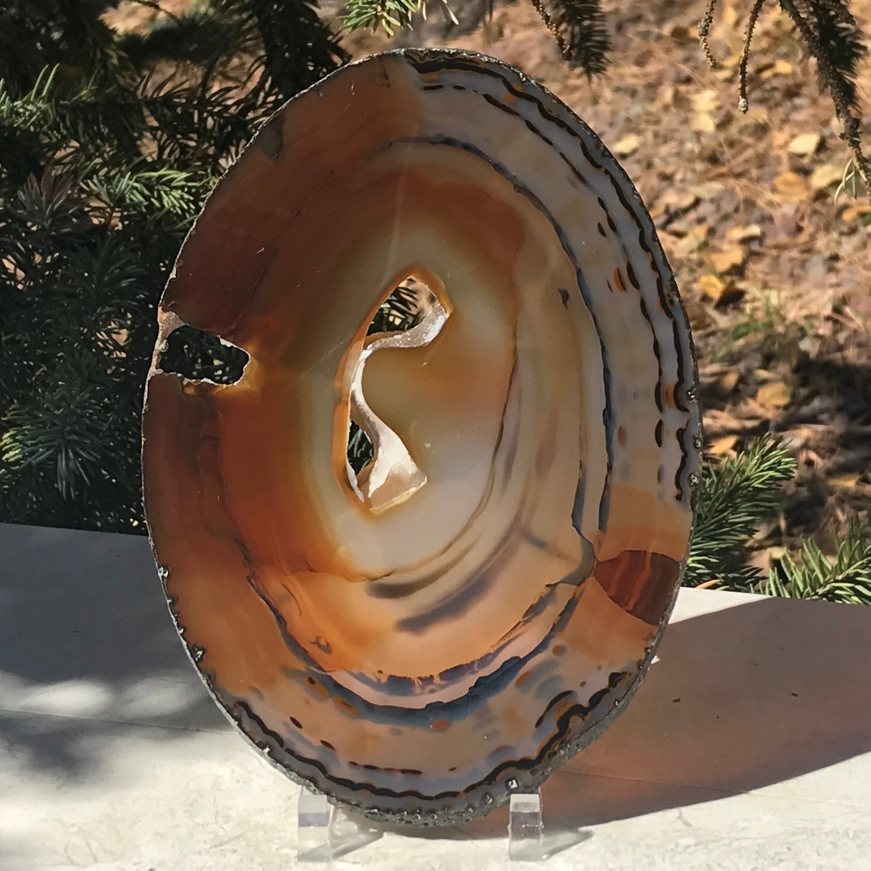 Brightly Translucent Agate Slice