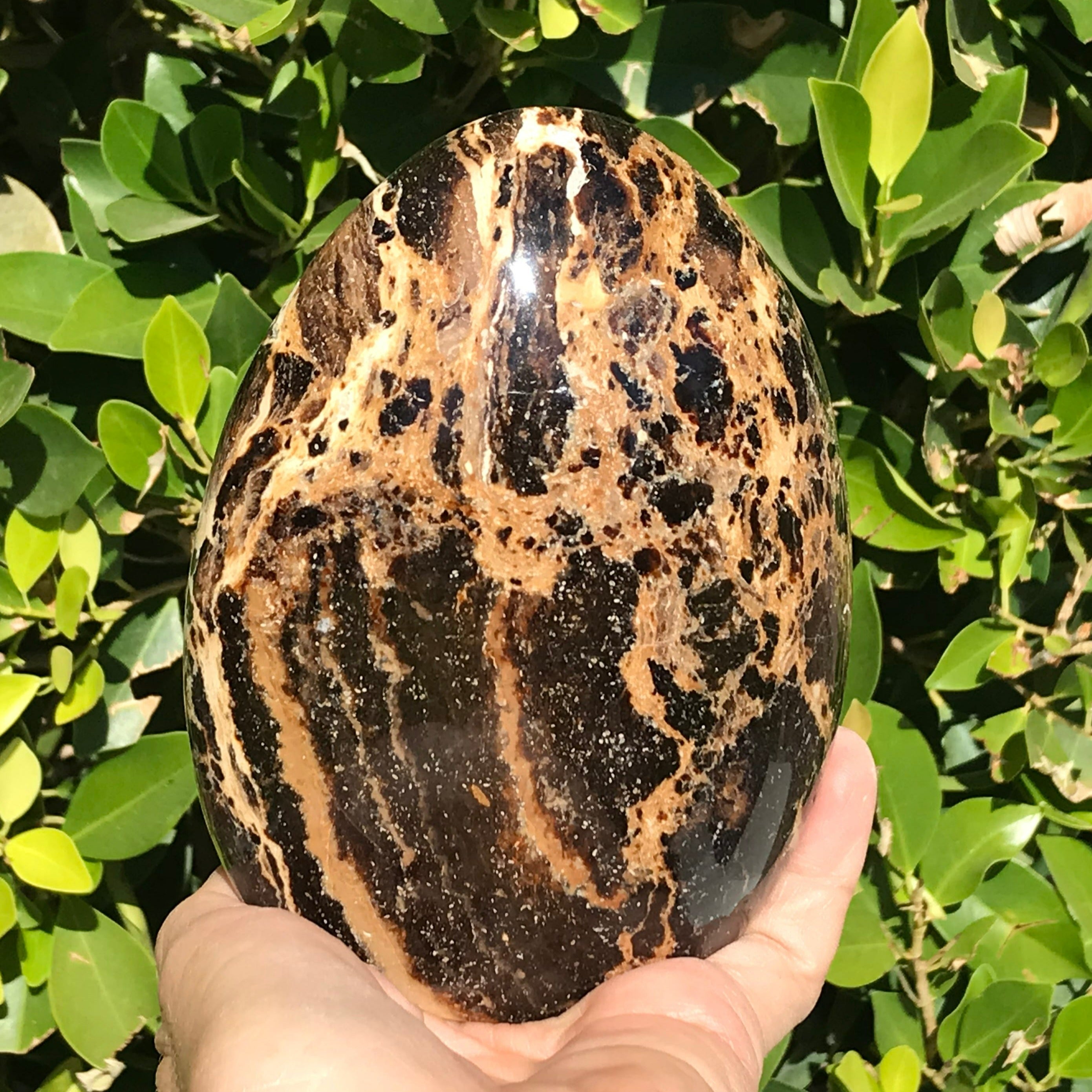 Black Opal Freeform
