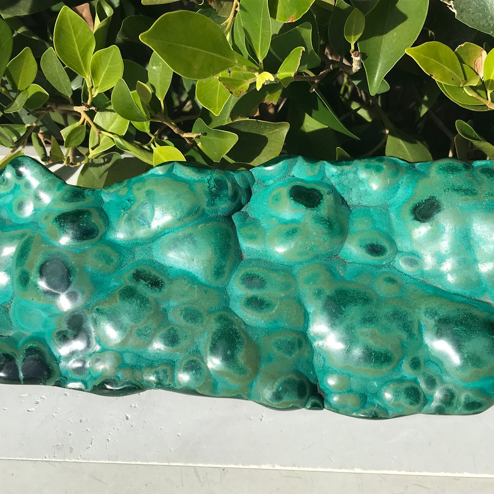 Polished Malachite/Chrysocolla Plate